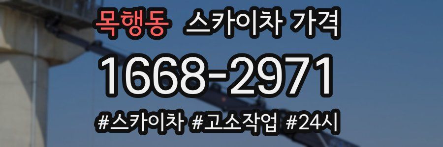 목행동 스카이차 가격