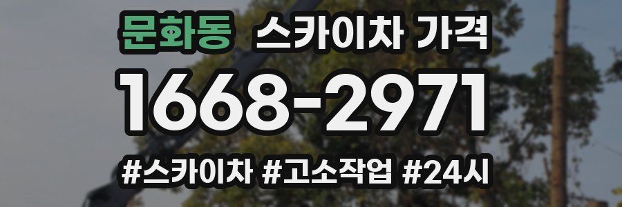 문화동 스카이차 가격