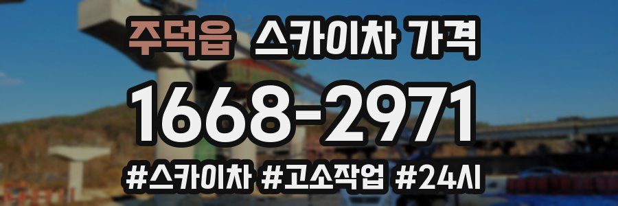 주덕읍 스카이차 가격