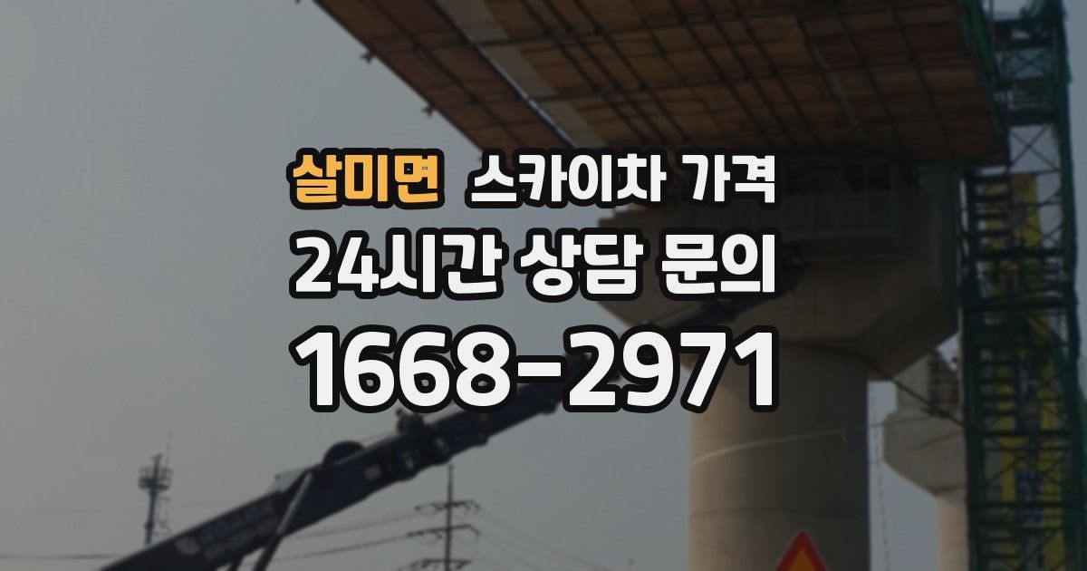 살미면 스카이차 가격