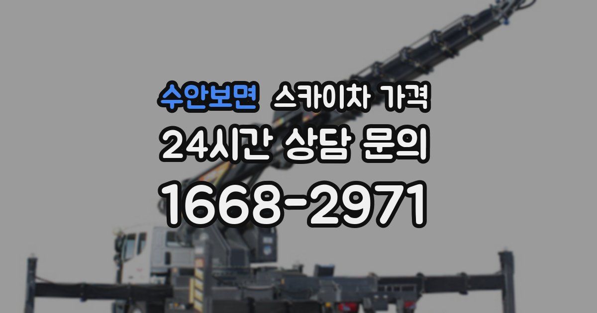 수안보면 스카이차 가격