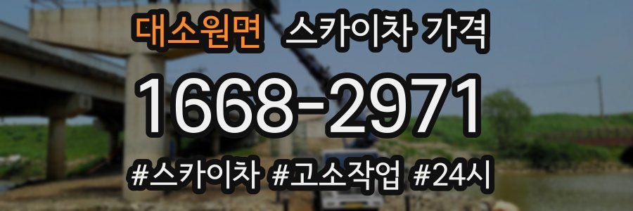 대소원면 스카이차 가격