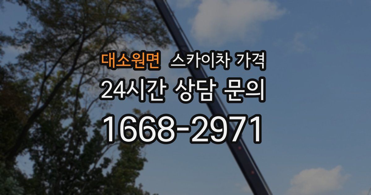 대소원면 스카이차 가격
