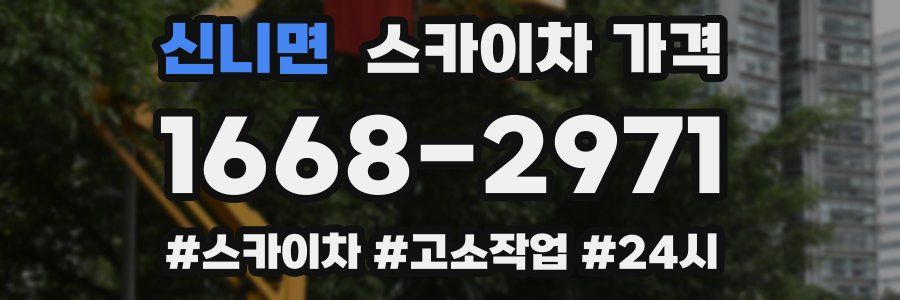 신니면 스카이차 가격