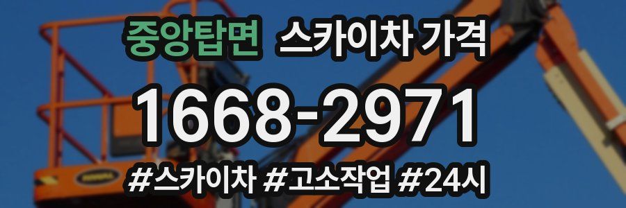 중앙탑면 스카이차 가격