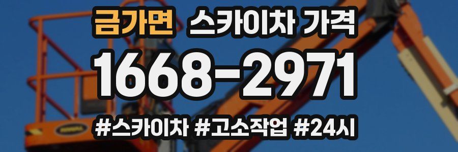 금가면 스카이차 가격