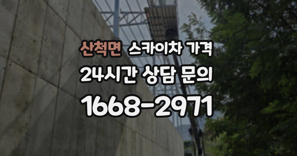 산척면 스카이차 가격