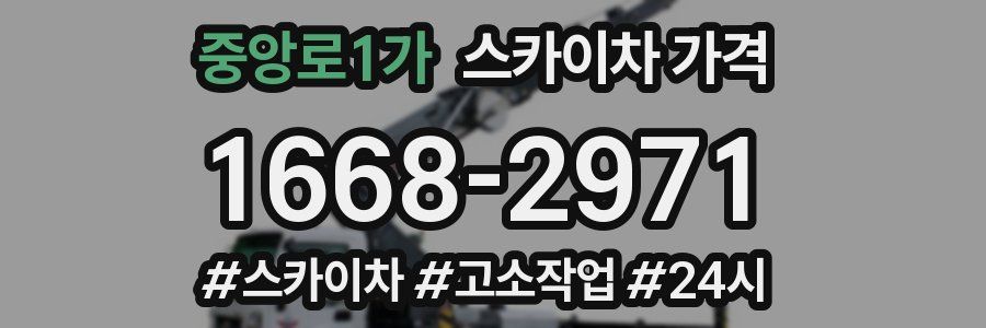 중앙로1가 스카이차 가격