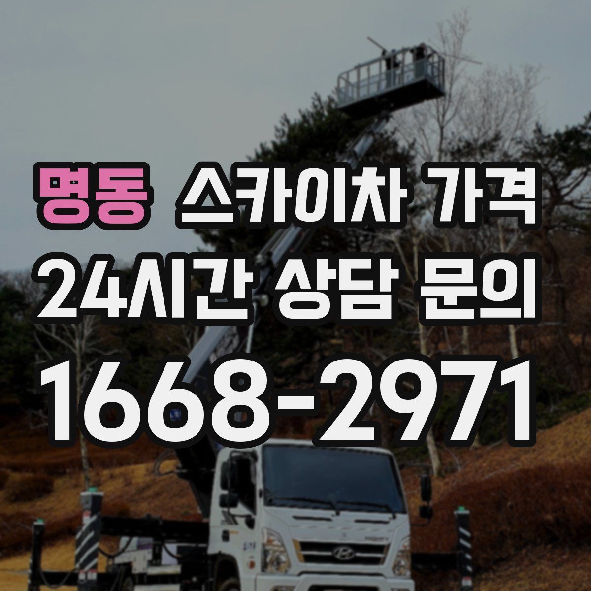 명동 스카이차 가격