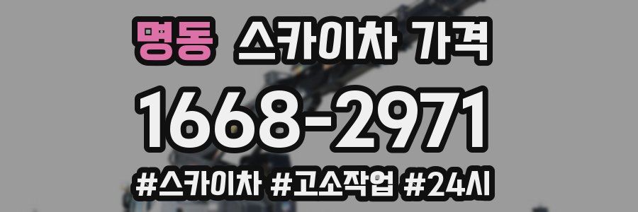 명동 스카이차 가격