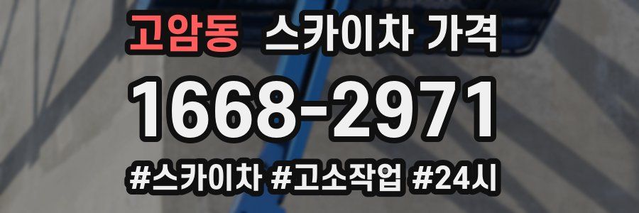 고암동 스카이차 가격