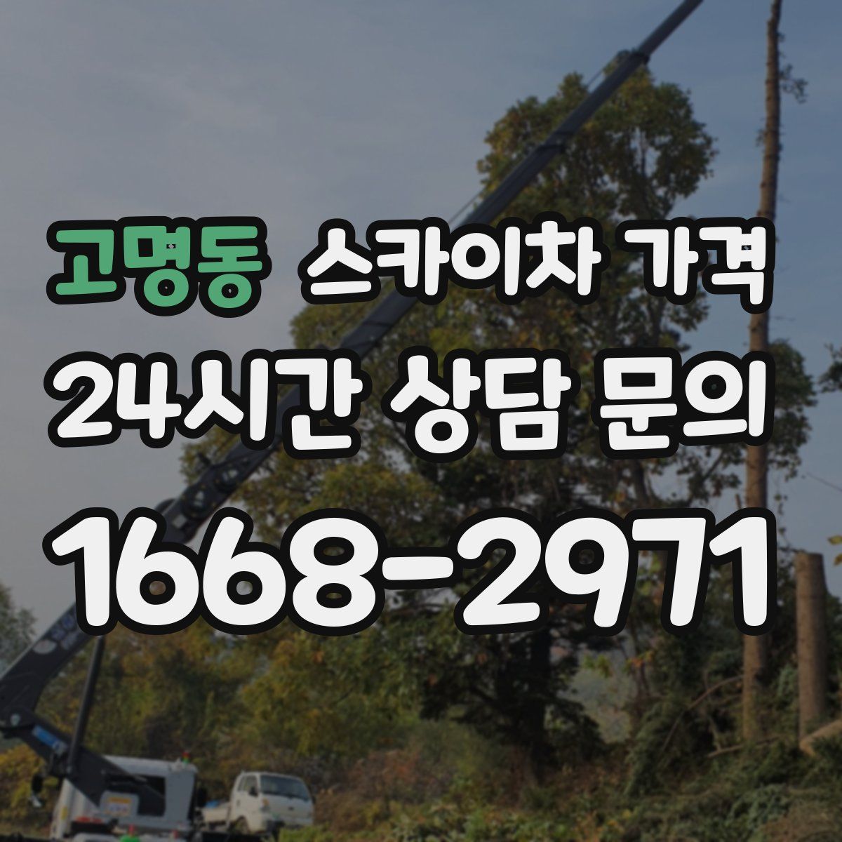 고명동 스카이차 가격