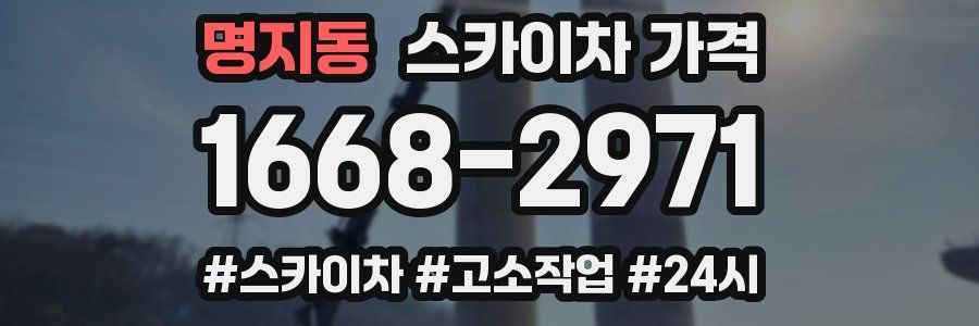 명지동 스카이차 가격