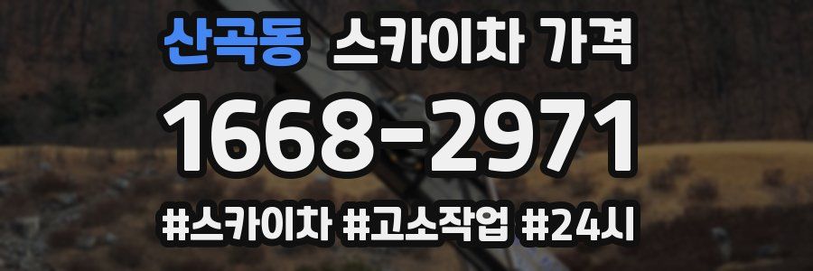 산곡동 스카이차 가격