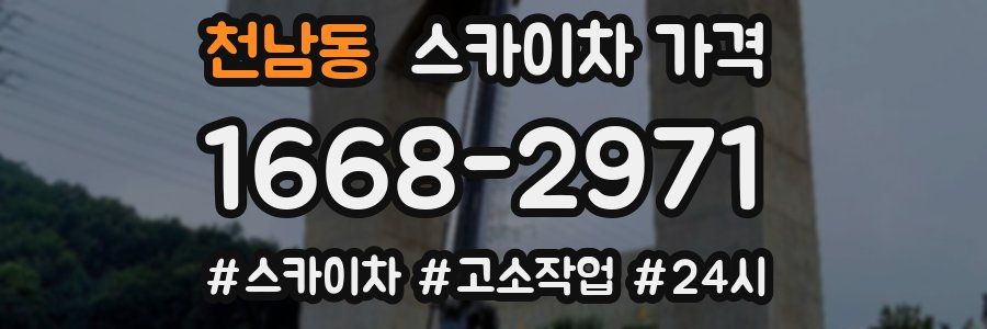 천남동 스카이차 가격