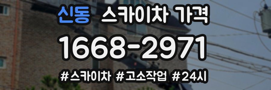 신동 스카이차 가격