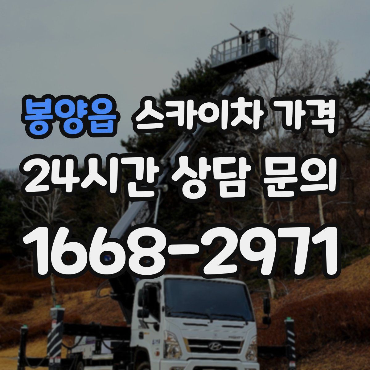 봉양읍 스카이차 가격