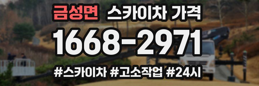 금성면 스카이차 가격