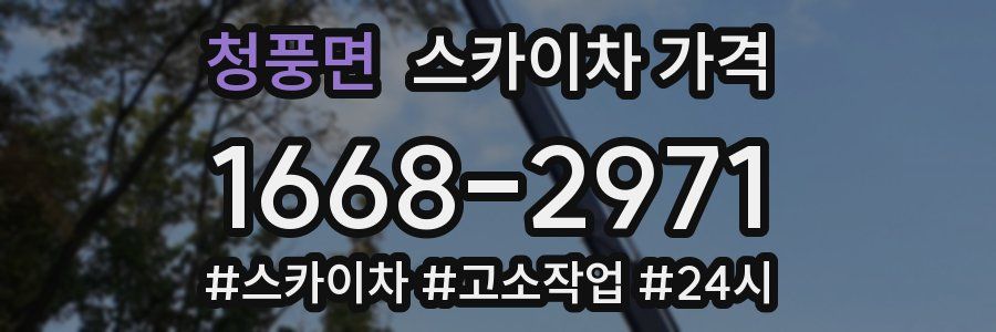 청풍면 스카이차 가격