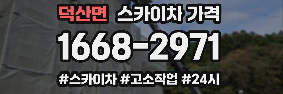 덕산면 스카이차 가격