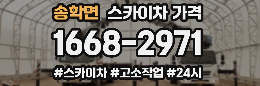 송학면 스카이차 가격