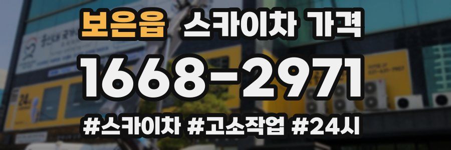 보은읍 스카이차 가격