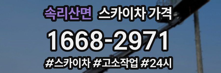 속리산면 스카이차 가격