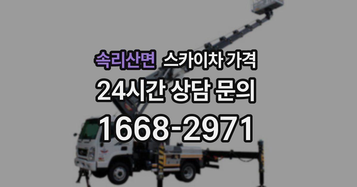 속리산면 스카이차 가격