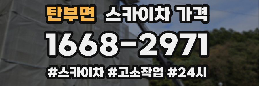 탄부면 스카이차 가격