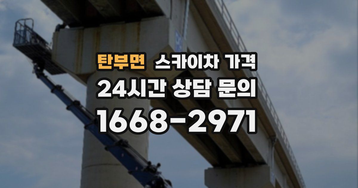 탄부면 스카이차 가격