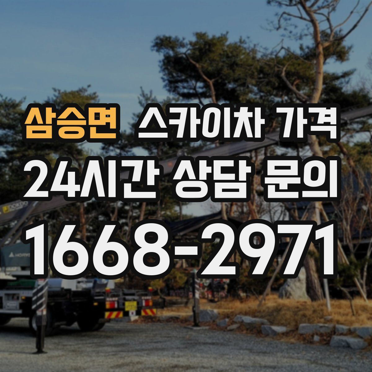 삼승면 스카이차 가격