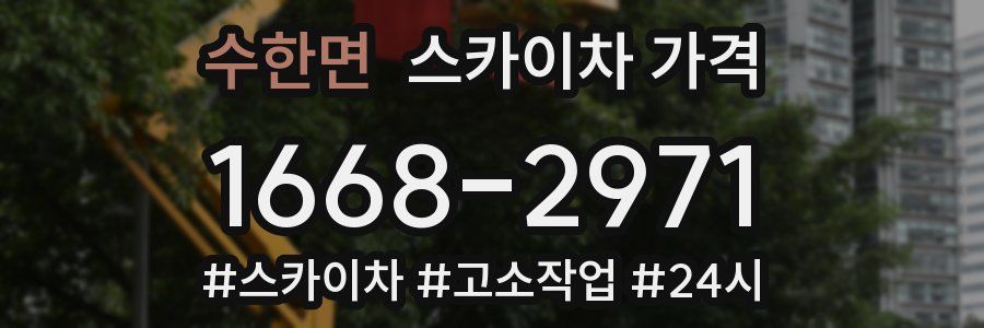 수한면 스카이차 가격