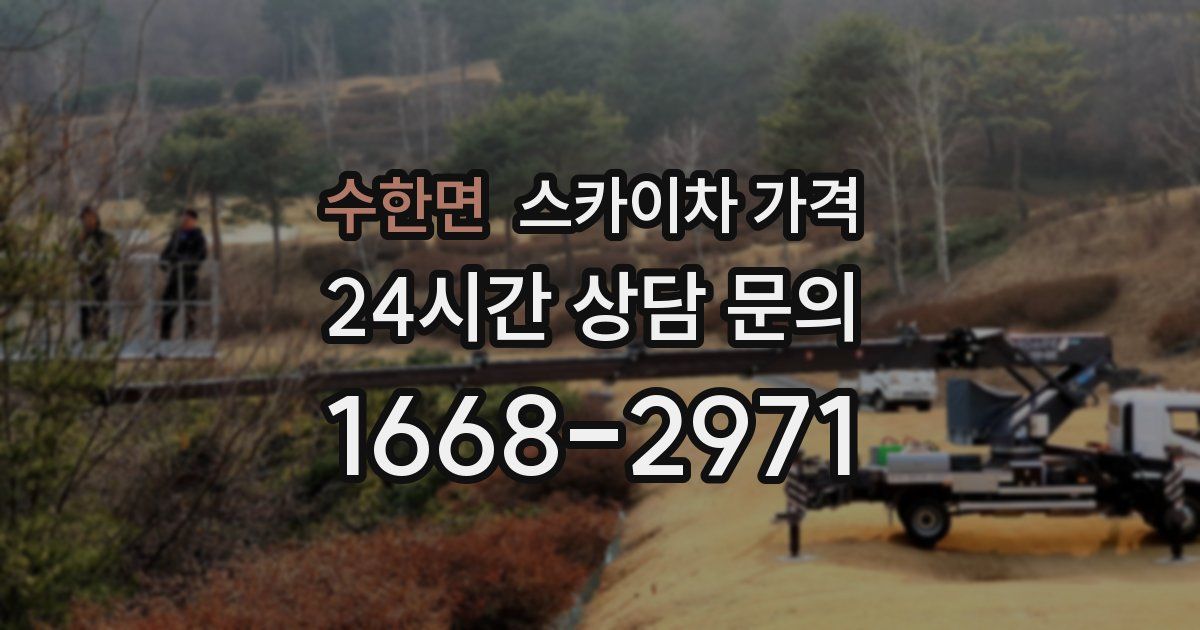 수한면 스카이차 가격