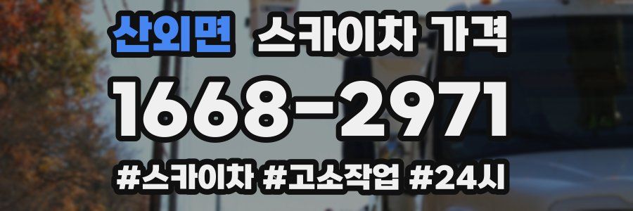 산외면 스카이차 가격