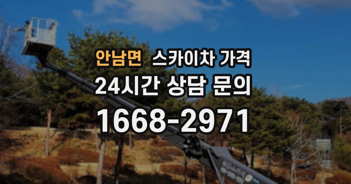 안남면 스카이차 가격