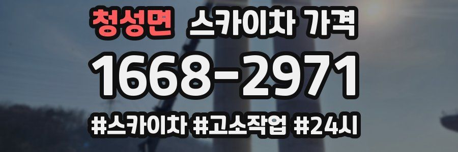 청성면 스카이차 가격