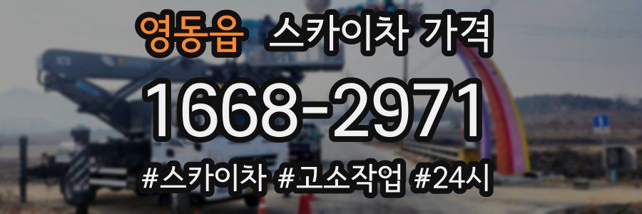 영동읍 스카이차 가격