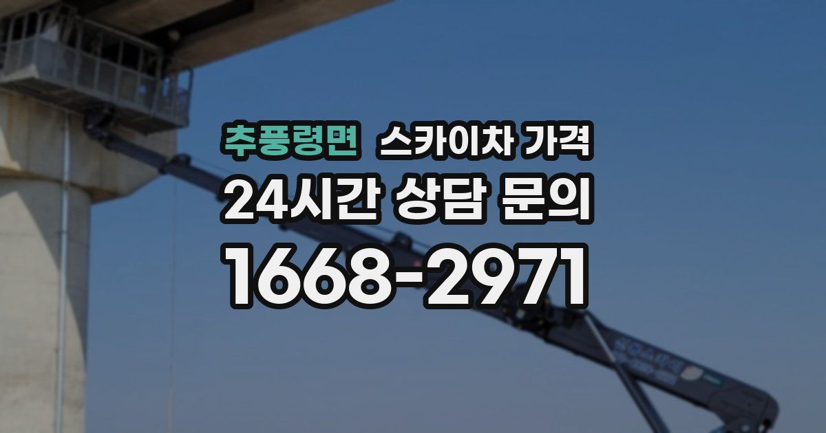 추풍령면 스카이차 가격