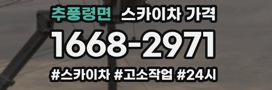 추풍령면 스카이차 가격