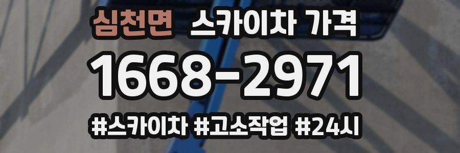 심천면 스카이차 가격