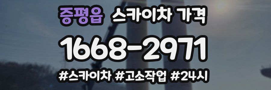 증평읍 스카이차 가격