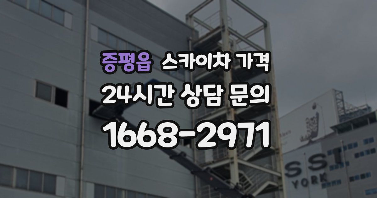 증평읍 스카이차 가격