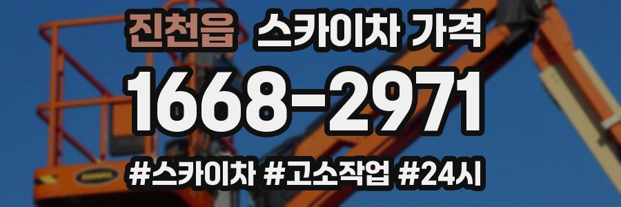 진천읍 스카이차 가격