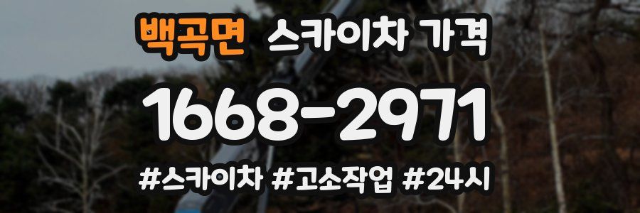 백곡면 스카이차 가격