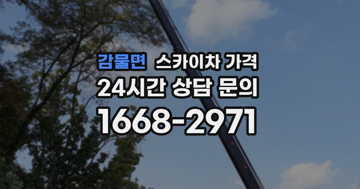 감물면 스카이차 가격