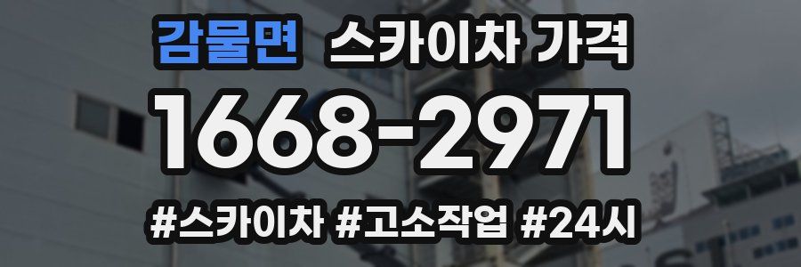 감물면 스카이차 가격