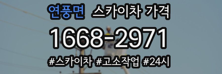 연풍면 스카이차 가격