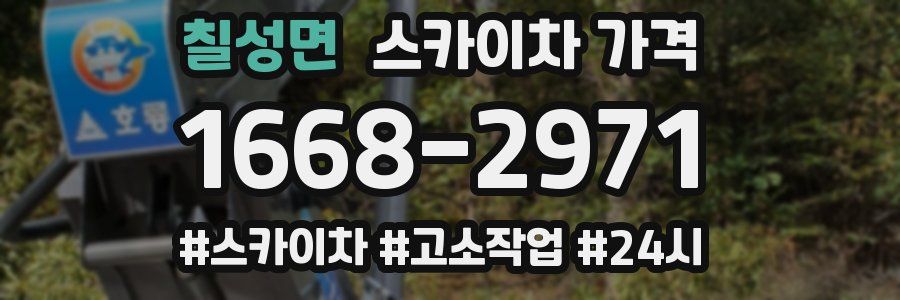 칠성면 스카이차 가격
