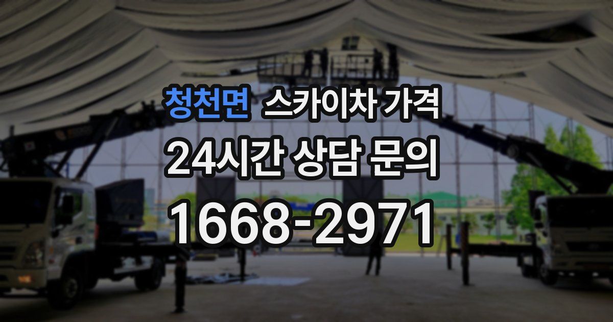 청천면 스카이차 가격