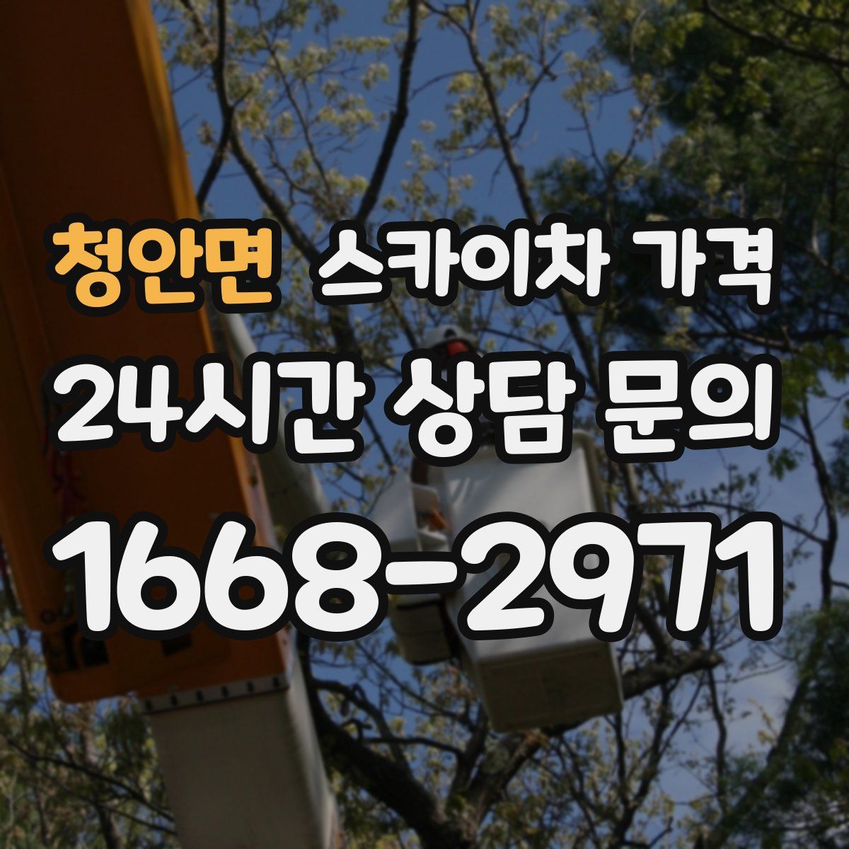 청안면 스카이차 가격